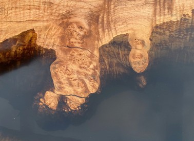 dřevo na epoxid penetrace